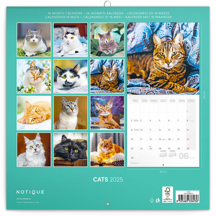 Calendrier Papier 2025 Chats Affectueux et Espiègles