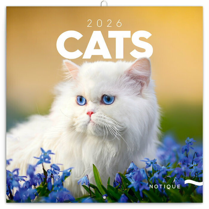 Calendrier Mural 2026 Chats Affectueux et Espiègles