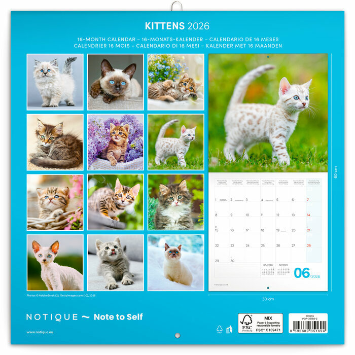 Calendrier 2026 Chatons Mignons et Espiègles