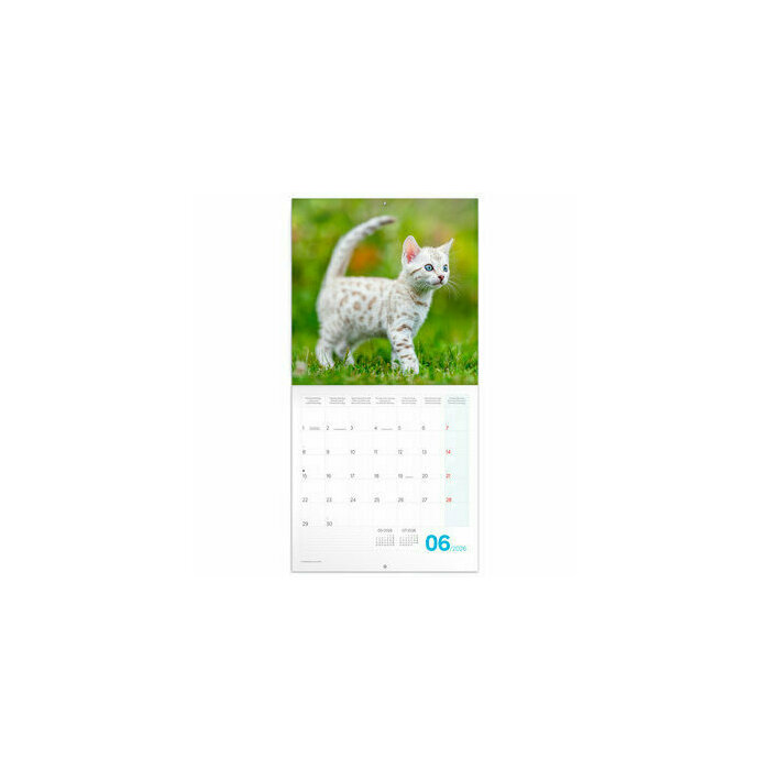 Calendrier 2026 Chatons Mignons 