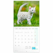 Calendrier 2026 Chatons Mignons 