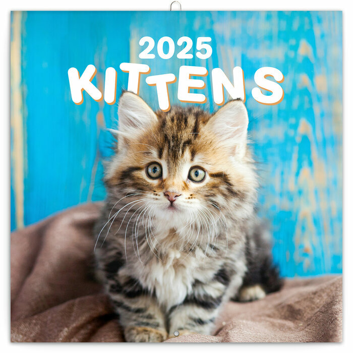 Calendrier Mural 2025 Chatons Mignons et Espiègles