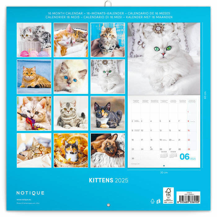 Calendrier Papier 2025 Chatons Mignons et Espiègles