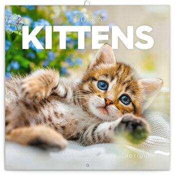 Calendrier 2025 Chatons Mignons et Espiègles Calendrier 2025 Chatons Mignons et Espiègles