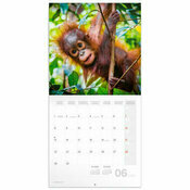 Calendrier 2026 Animaux