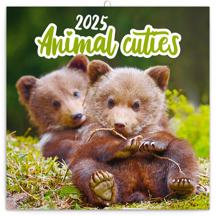 Calendrier Oursons 2025 Animaux Cutes