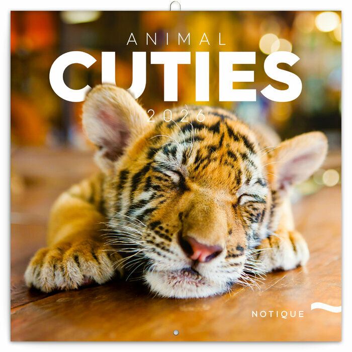 Calendrier Oursons 20256 Animaux Cutes