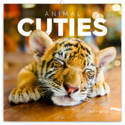 Calendrier Oursons 20256 Animaux Cutes