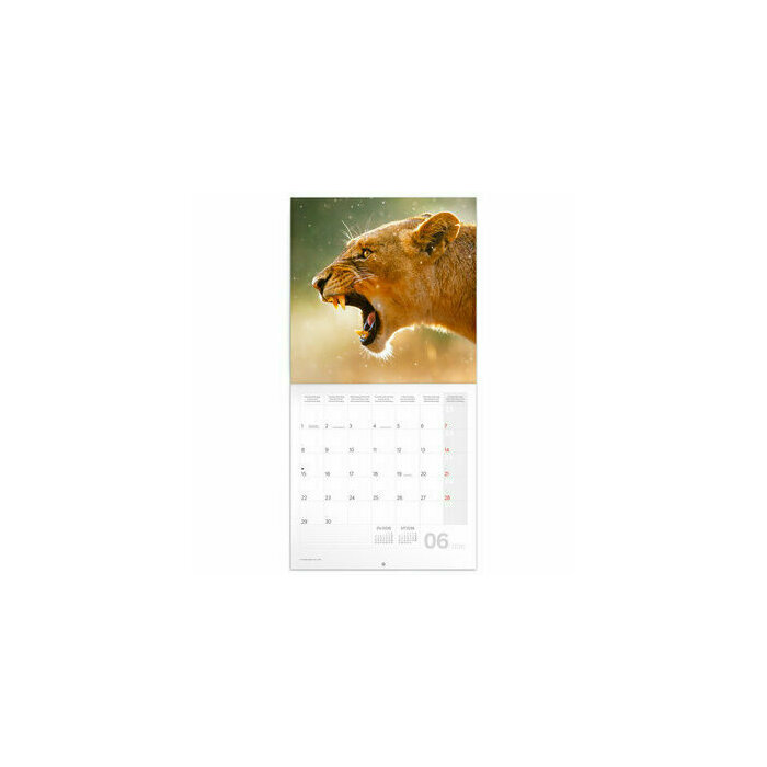 Calendrier 2026 Animaux Sauvages 