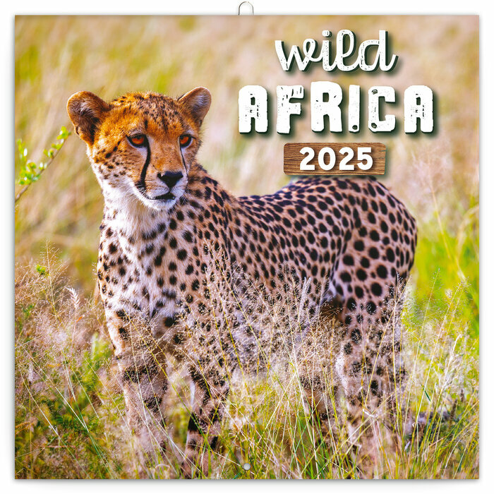 Calendrier Mural 2025 Animaux Sauvages Savane