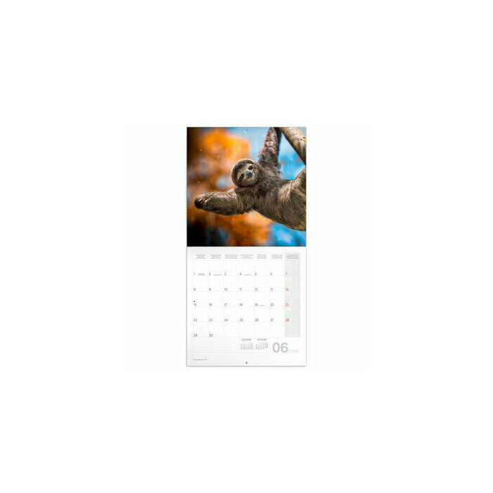 Calendrier 2026 Animaux Smiles papier