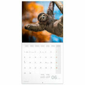 Calendrier 2026 Animaux Smiles papier