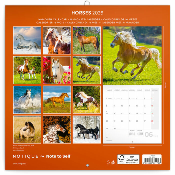 Calendrier Papier 2025 Chevaux Majestueux