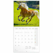 Calendrier 2025 Chevaux Majestueux