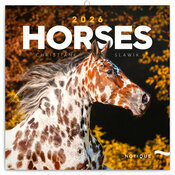 Calendrier Mural 2025 Chevaux Majestueux