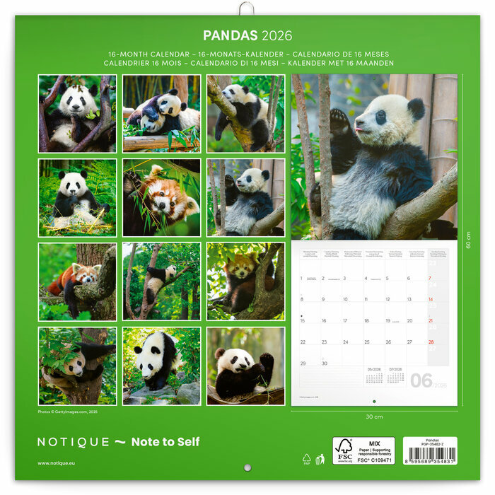 Calendrier Mural 2025 Bambous et Pandas
