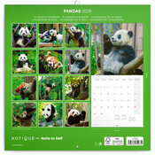 Calendrier Mural 2025 Bambous et Pandas