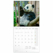 Calendrier 2025 Bambous et Pandas