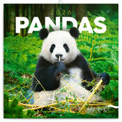 Calendrier Panda roux 2025 Bambous et Pandas