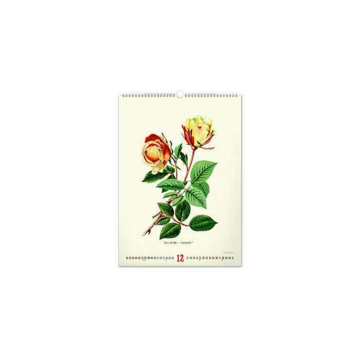 Maxi Calendrier 2026 Affiches Herbier Botanique Vintage