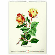 Maxi Calendrier 2026 Affiches Herbier Botanique Vintage