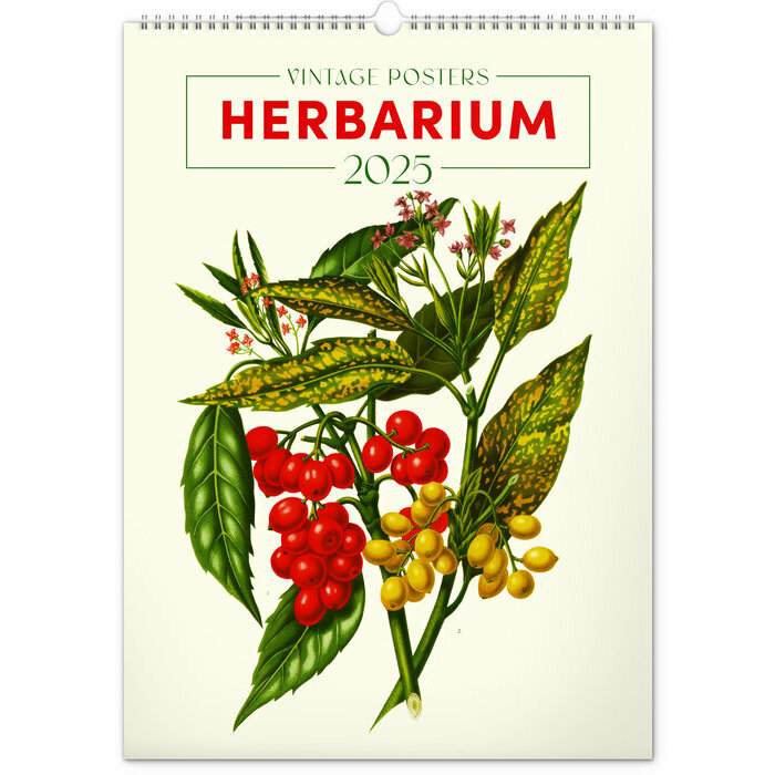 Calendrier 2025 Affiches Herbier Botanique Vintage