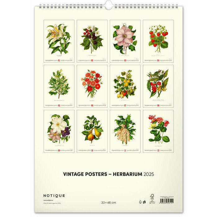 Calendrier maxi 2025 Affiches Herbier Botanique Vintage
