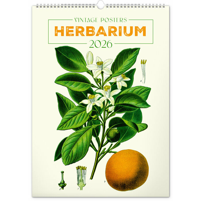 Calendrier 2026 Affiches Herbier Botanique Vintage
