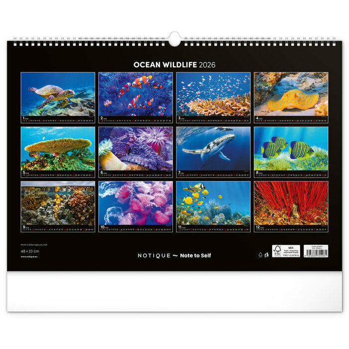 Maxi Calendrier 2026 Ocan Vie Sous Marine