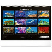 Maxi Calendrier 2026 Ocan Vie Sous Marine