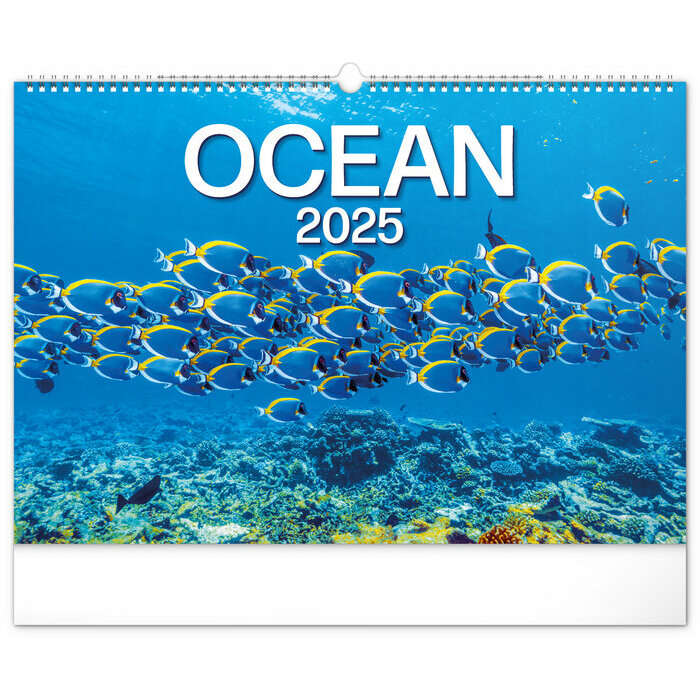Maxi Calendrier Poissons 2025 Ocan Vie Sous Marine