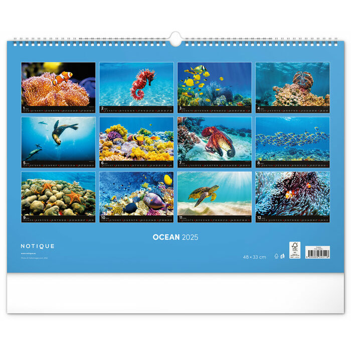 Maxi Calendrier Mural 2025 Ocan Vie Sous Marine