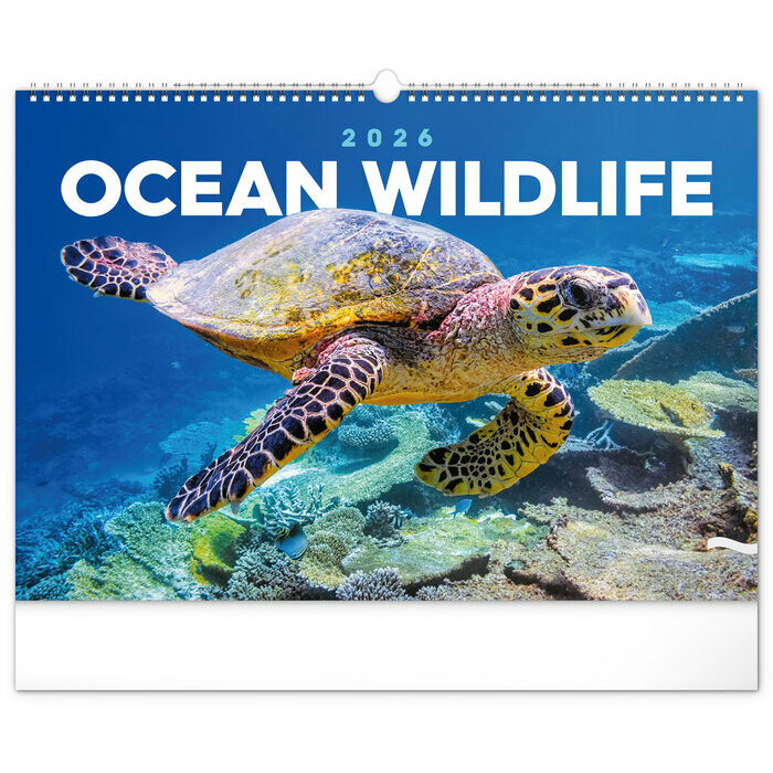 Maxi Calendrier Poissons 2026 Ocan Vie Sous Marine