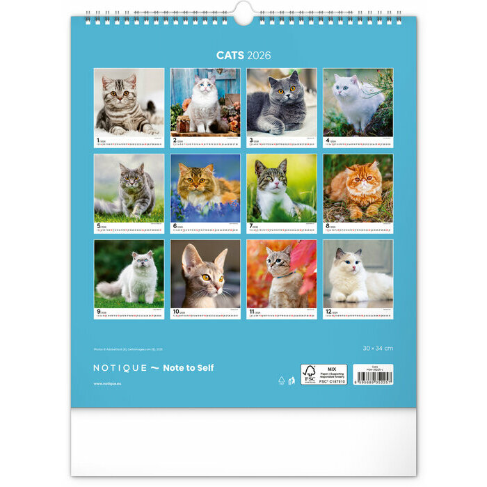 Calendrier 2026 Chats Sublimes