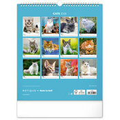 Calendrier 2026 Chats Sublimes