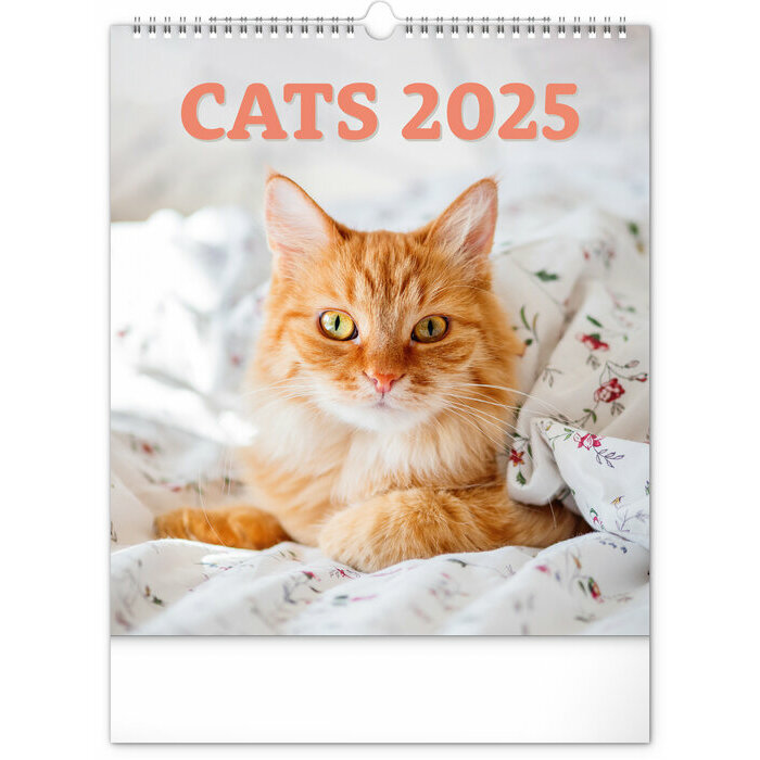Calendrier Mural 2025 Chats Sublimes