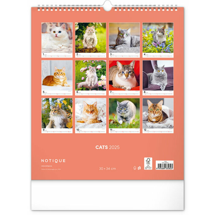 Calendrier Papier 2025 Chats Sublimes