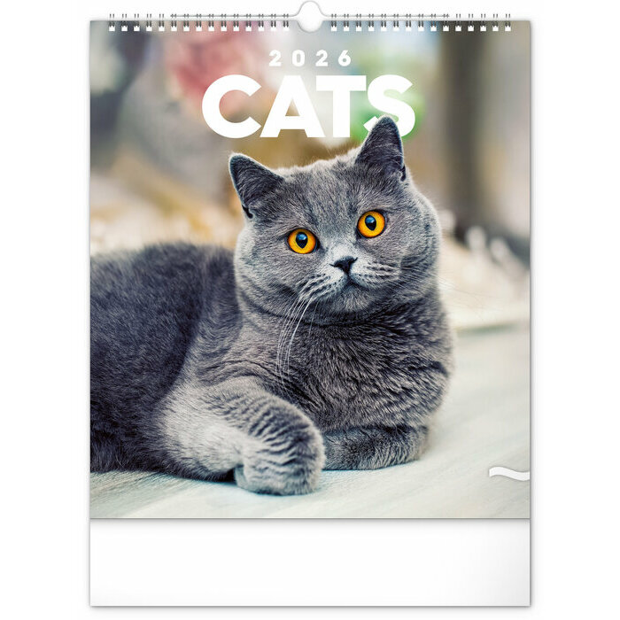 Calendrier Mural 2026 Chats Sublimes