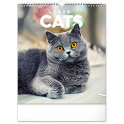Calendrier Mural 2026 Chats Sublimes