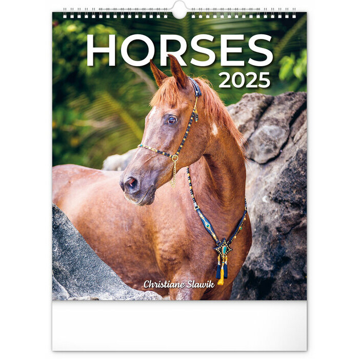 Calendrier mural 2025 Chevaux Sublimes