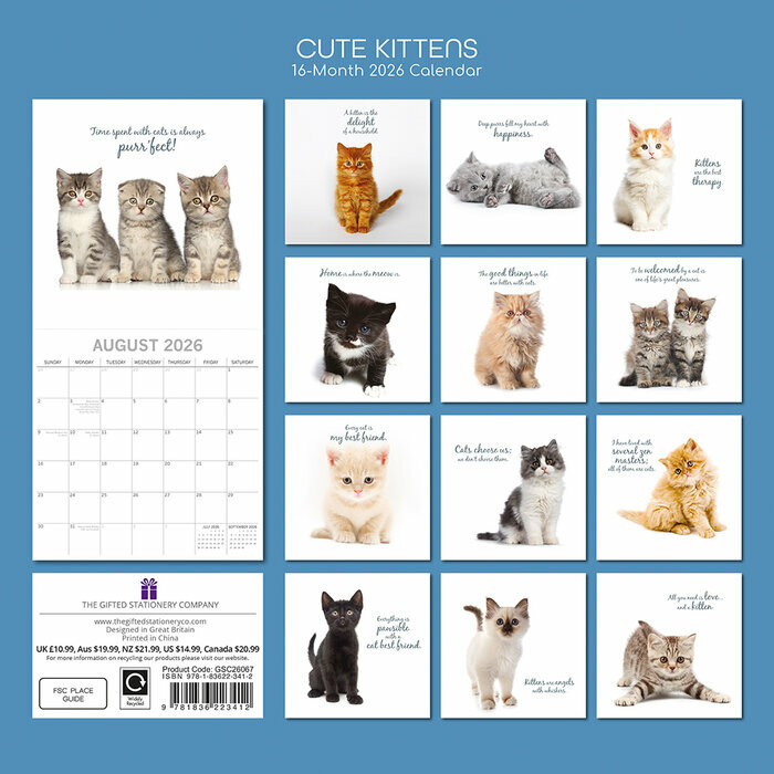 Calendrier 2026 Chatons Mignons Fond Blanc