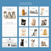Calendrier 2026 Chatons Mignons Fond Blanc