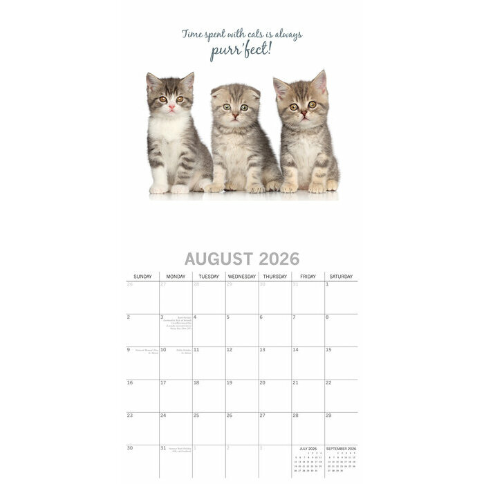 Calendrier Mural 2026 Chatons  Fond Blanc
