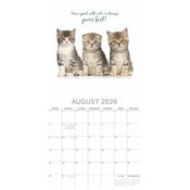 Calendrier Mural 2026 Chatons  Fond Blanc