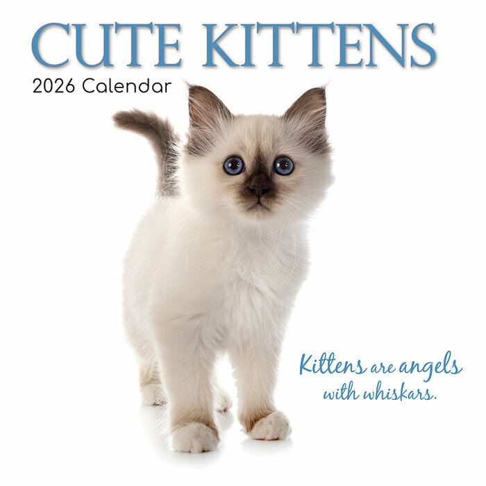 Calendrier Mural 2026 Chatons Mignons Fond Blanc