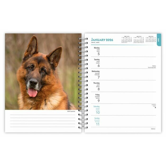 Agenda Berger 2025 Spirale Chien Race Berger Allemand