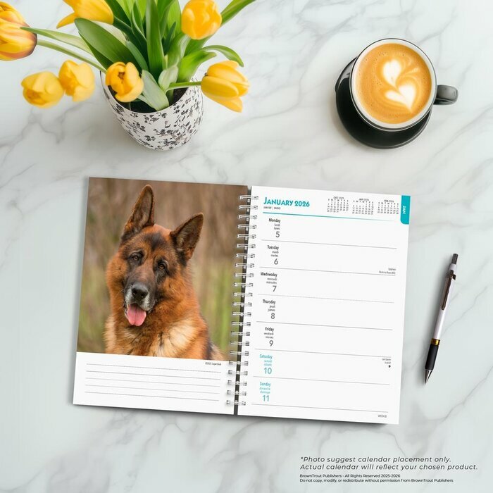 Agenda 2025 Spirale Chien Race Berger Allemand