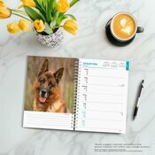 Agenda 2025 Spirale Chien Race Berger Allemand