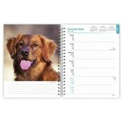 Agenda mural 2026 Spirale Chien Race Golden Retriever