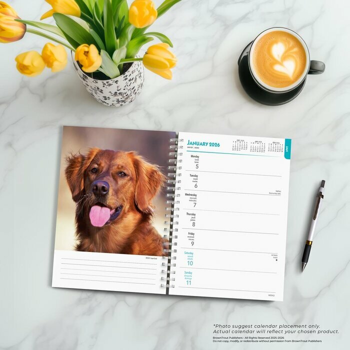 Agenda Papier 2026 Chien Race Golden Retriever